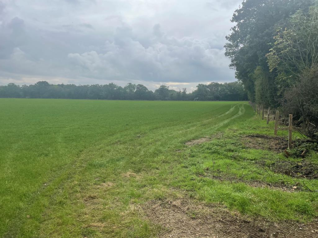 Lot: 94 - JUST OVER 33 ACRES OF FARMLAND IN STRATEGIC LOCATION - TO BE OFFERED FOR SALE BY PUBLIC AUCTION ON FRIDAY, 25TH OCTOBER 2024 - Southerly view of rear parcel of land